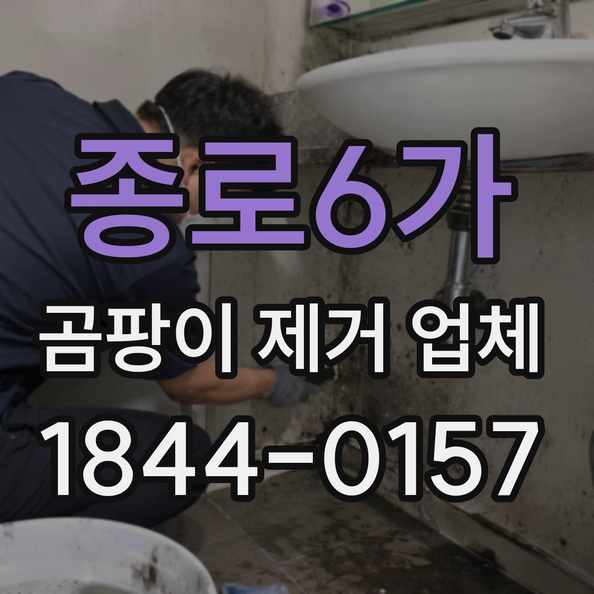 종로6가 곰팡이 제거 업체