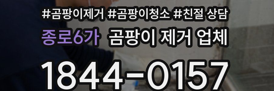 종로6가 곰팡이 제거 업체