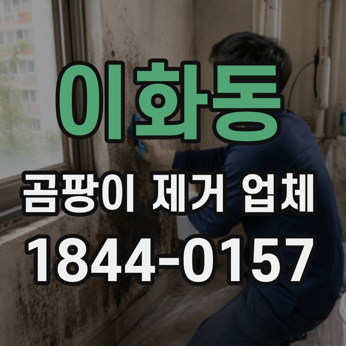 이화동 곰팡이 제거 업체