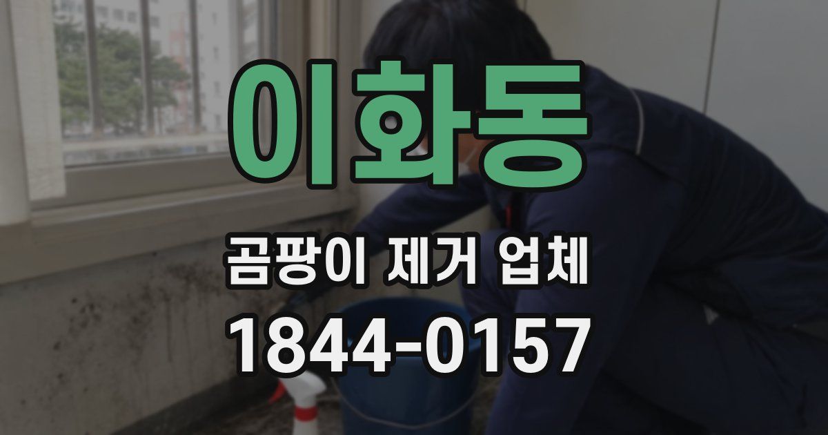 이화동 곰팡이 제거 업체