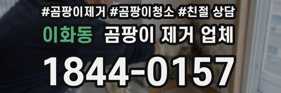 이화동 곰팡이 제거 업체
