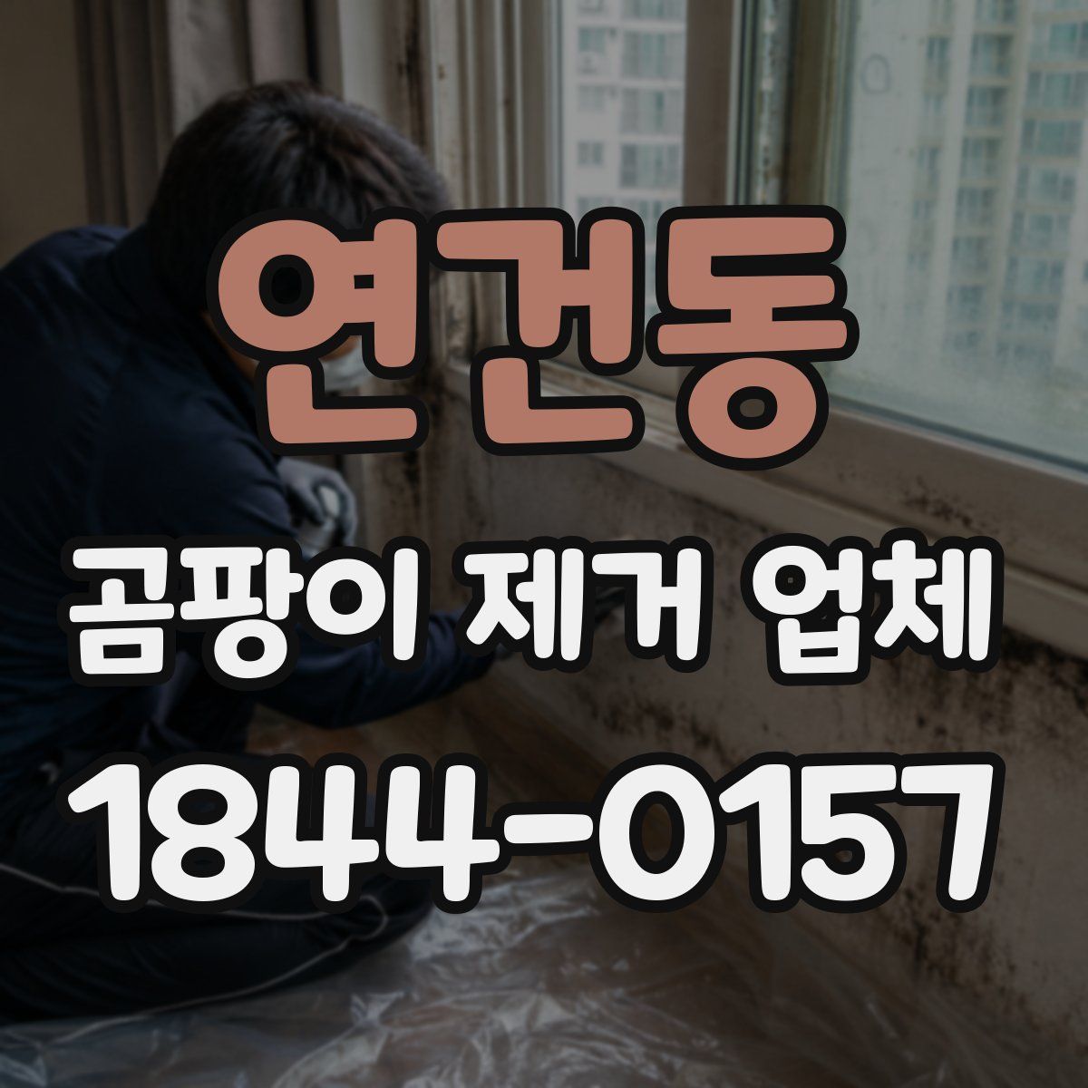 연건동 곰팡이 제거 업체