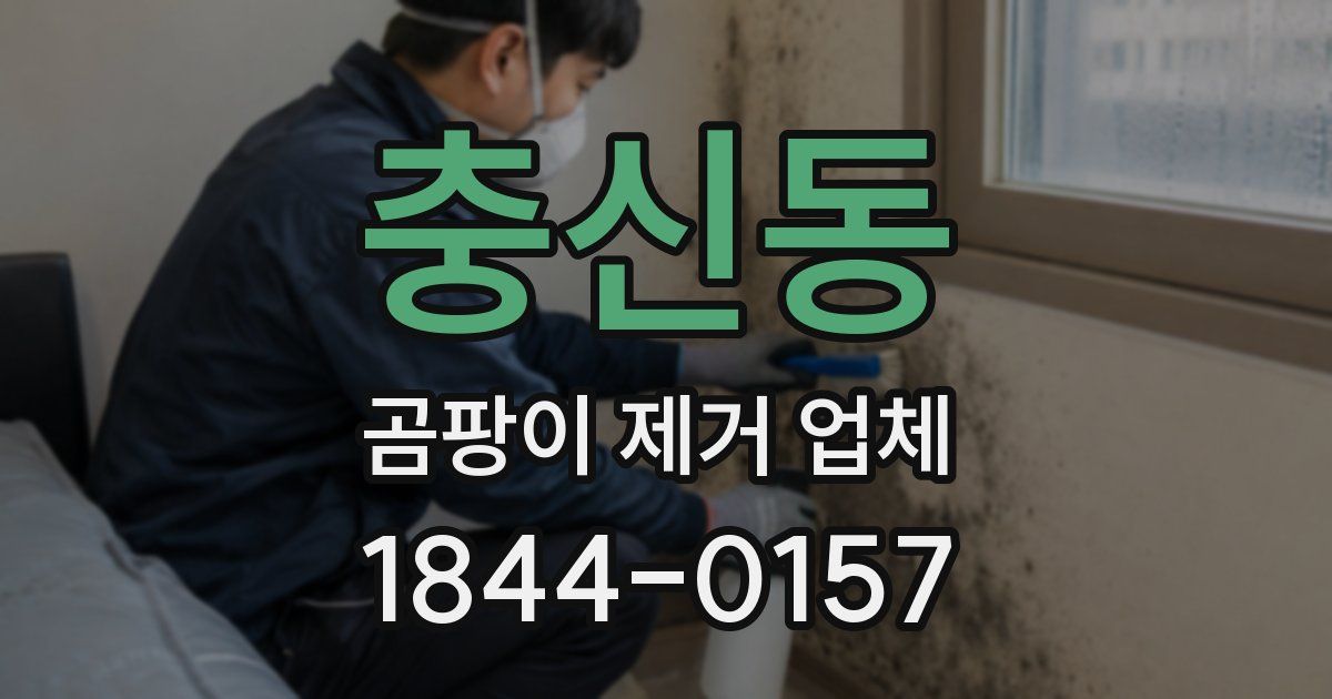 충신동 곰팡이 제거 업체