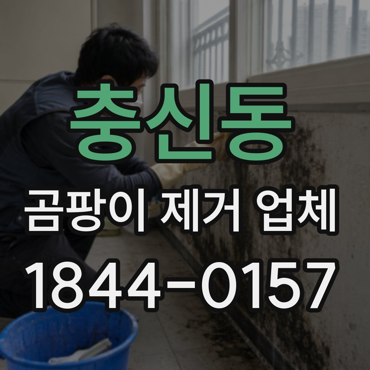 충신동 곰팡이 제거 업체