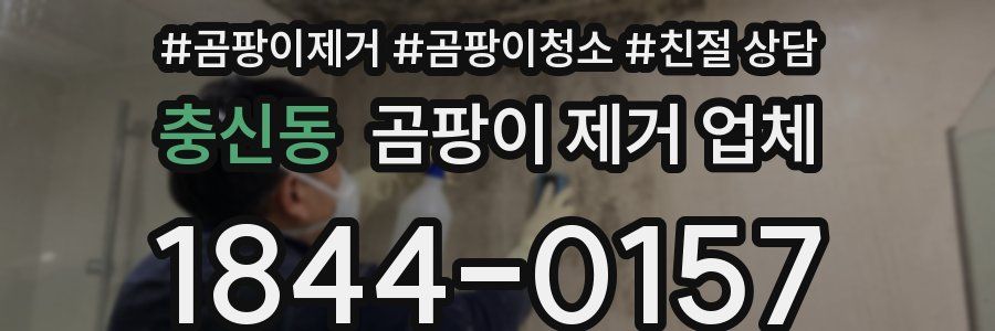 충신동 곰팡이 제거 업체