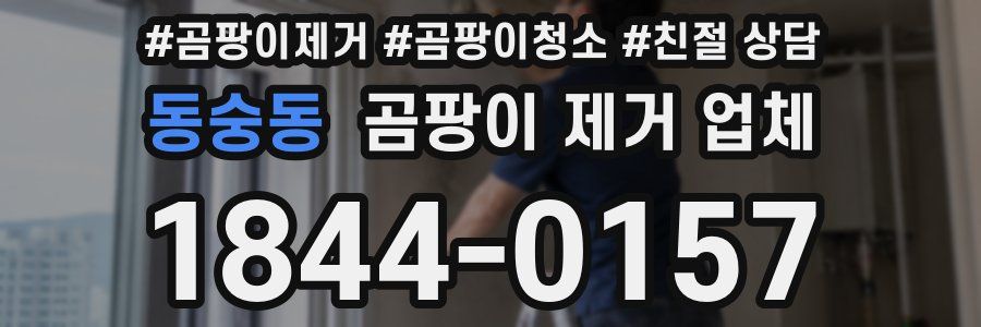 동숭동 곰팡이 제거 업체