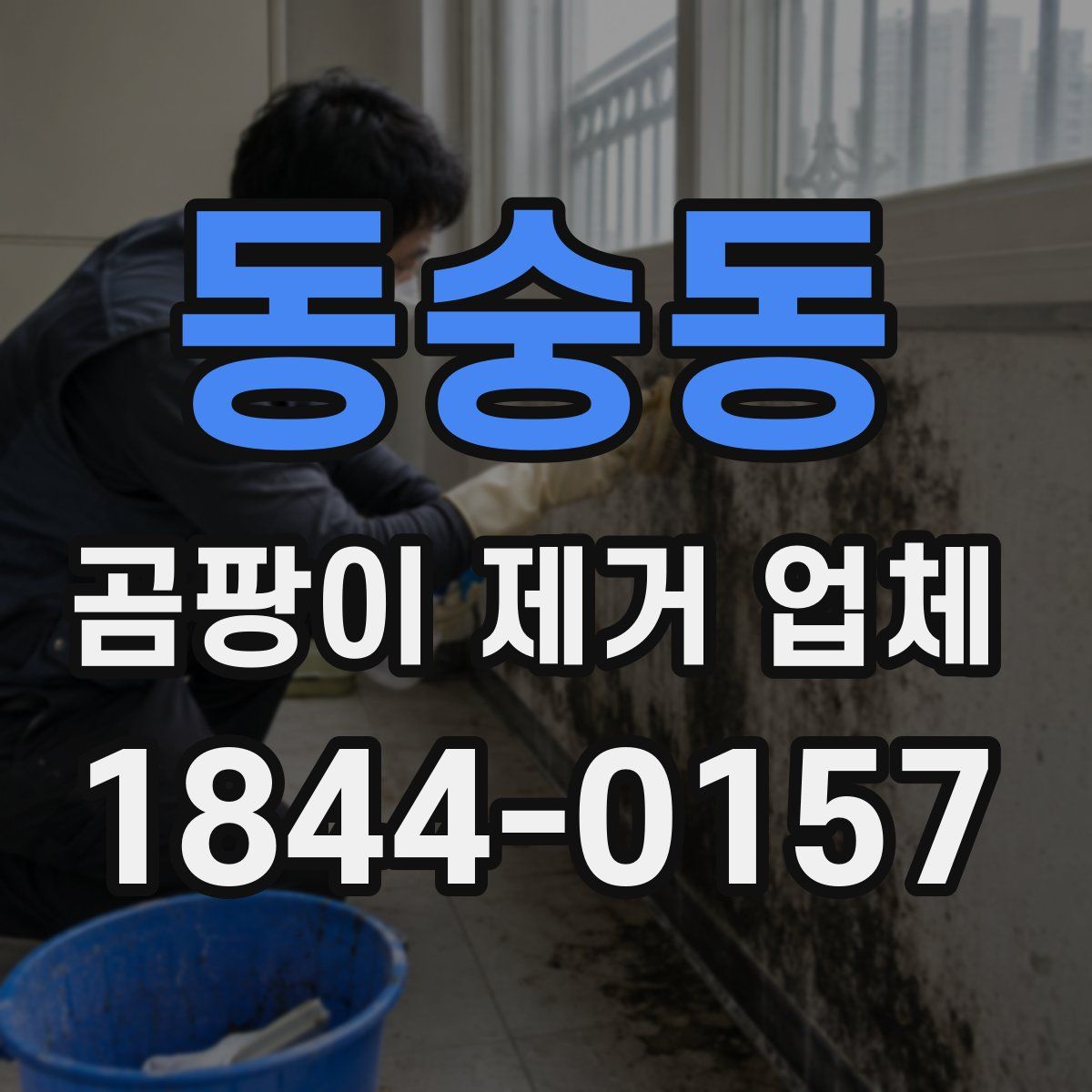 동숭동 곰팡이 제거 업체