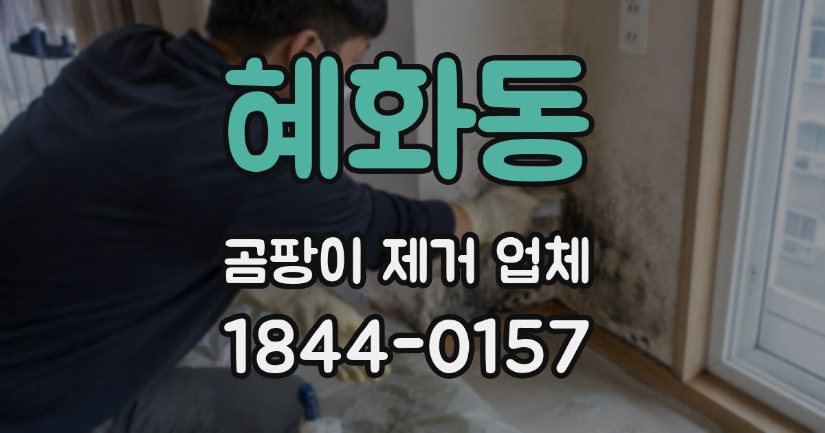 혜화동 곰팡이 제거 업체