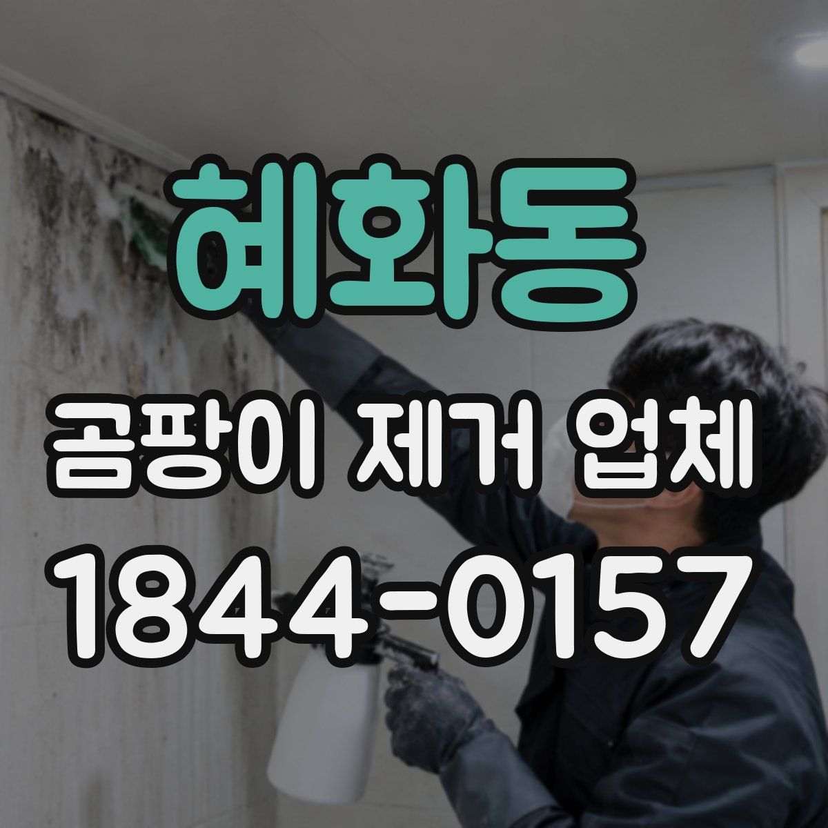 혜화동 곰팡이 제거 업체