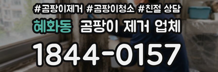 혜화동 곰팡이 제거 업체