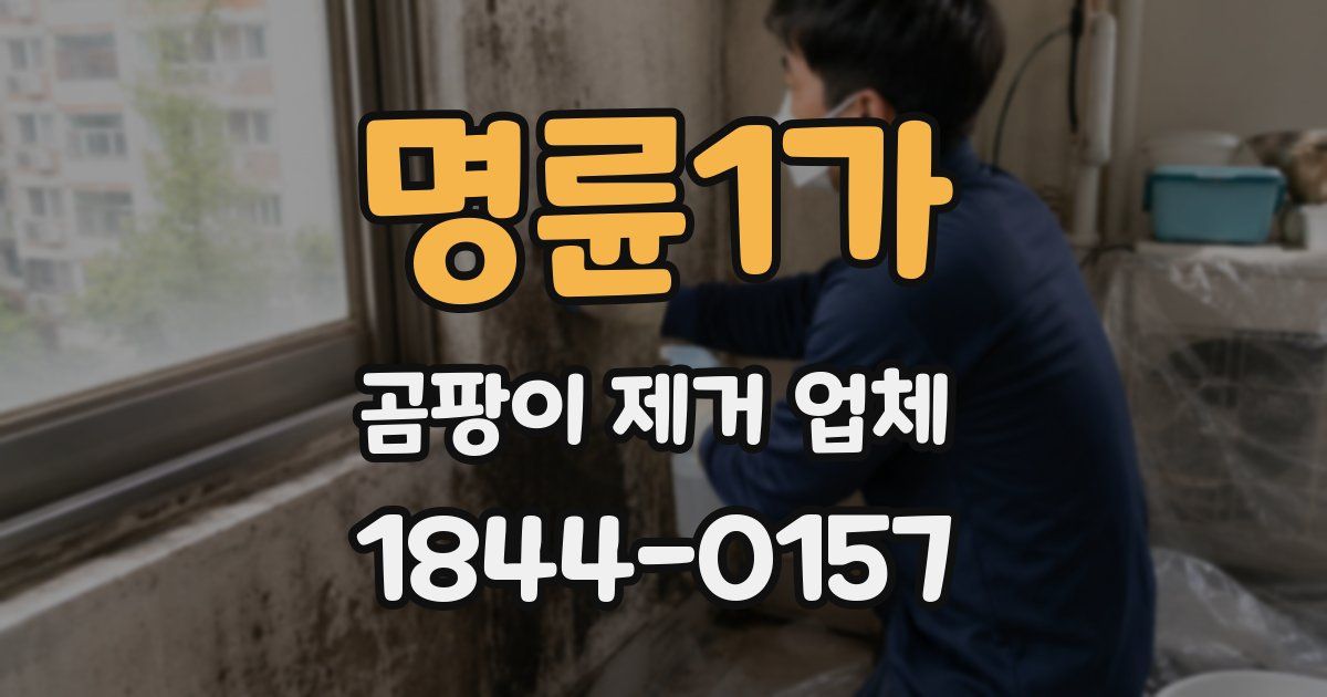 명륜1가 곰팡이 제거 업체