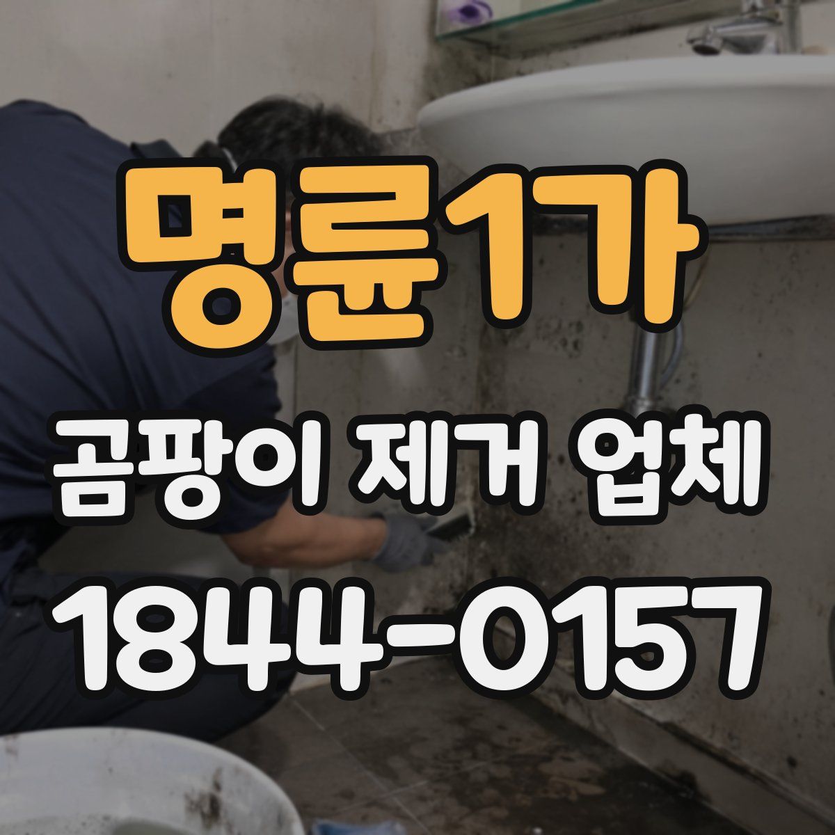 명륜1가 곰팡이 제거 업체