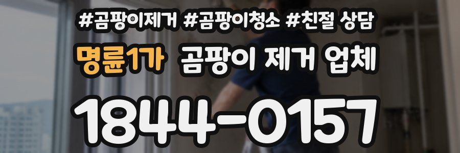 명륜1가 곰팡이 제거 업체