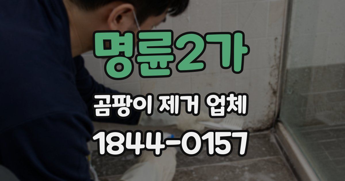 명륜2가 곰팡이 제거 업체