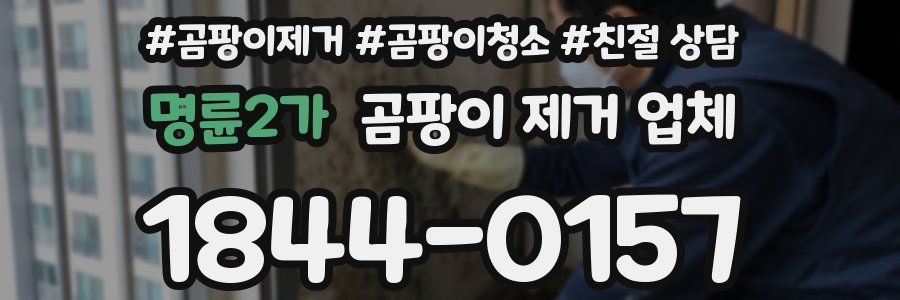 명륜2가 곰팡이 제거 업체
