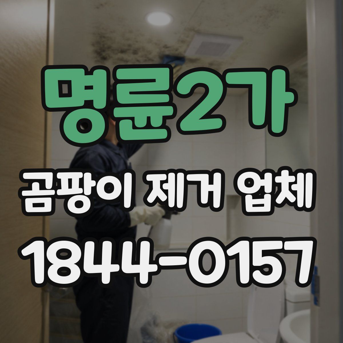 명륜2가 곰팡이 제거 업체