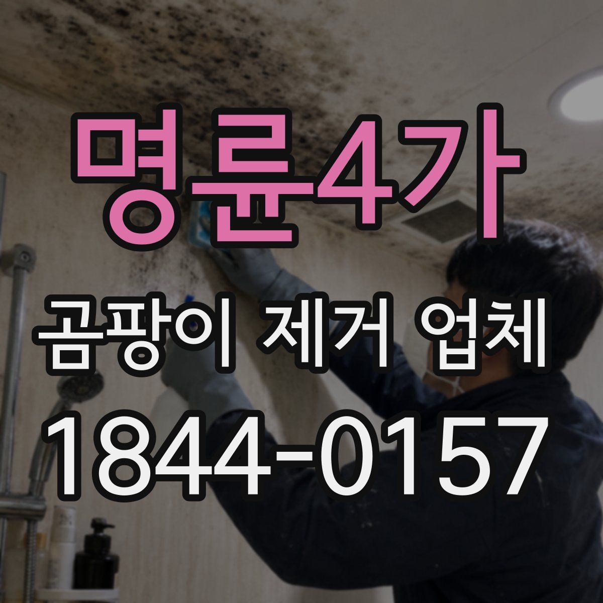 명륜4가 곰팡이 제거 업체