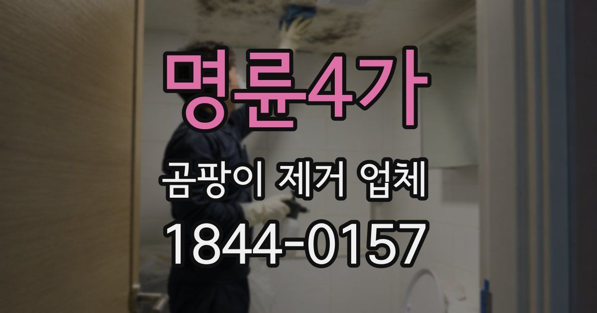 명륜4가 곰팡이 제거 업체