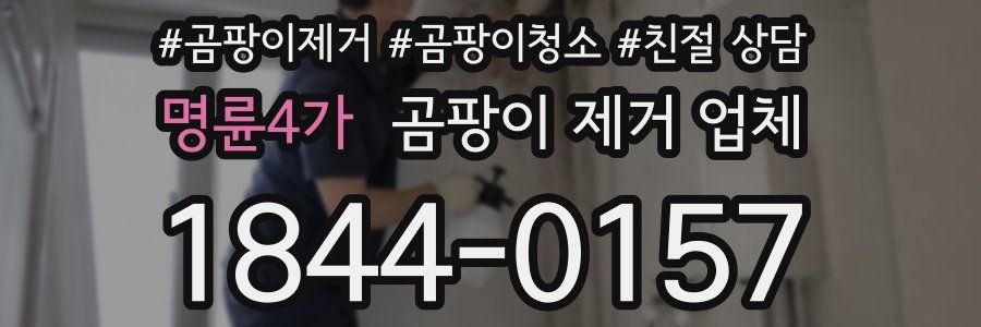 명륜4가 곰팡이 제거 업체