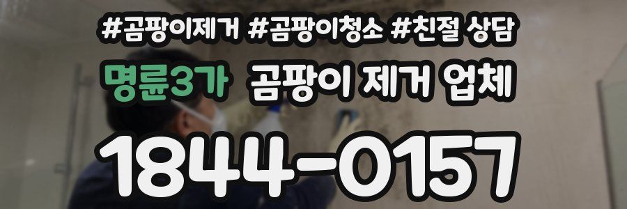 명륜3가 곰팡이 제거 업체