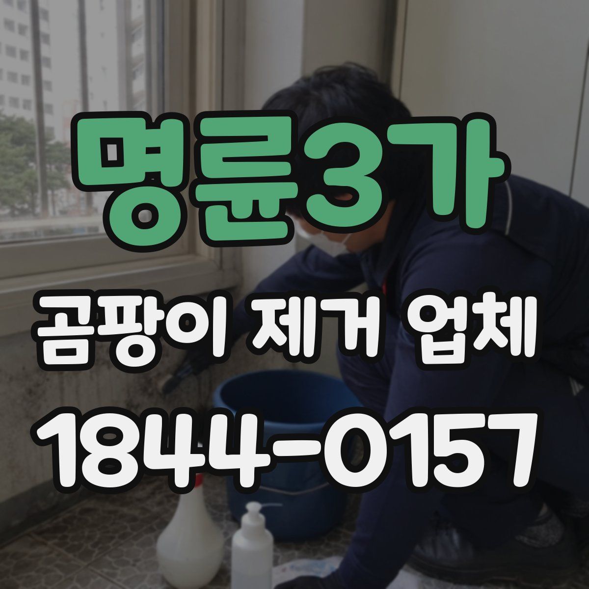 명륜3가 곰팡이 제거 업체