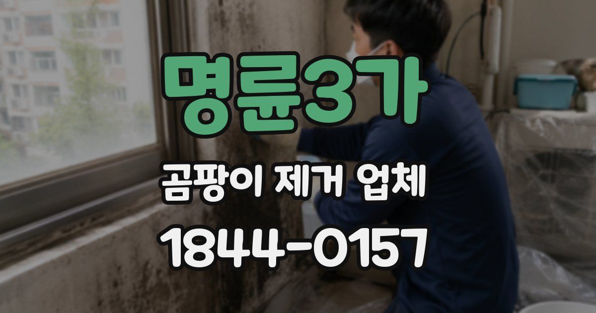 명륜3가 곰팡이 제거 업체
