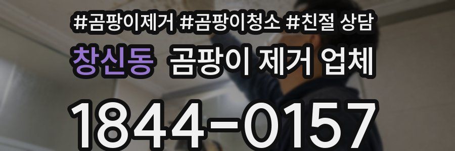 창신동 곰팡이 제거 업체