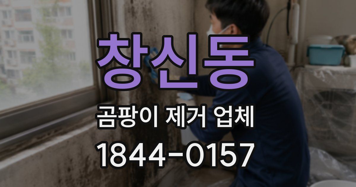 창신동 곰팡이 제거 업체
