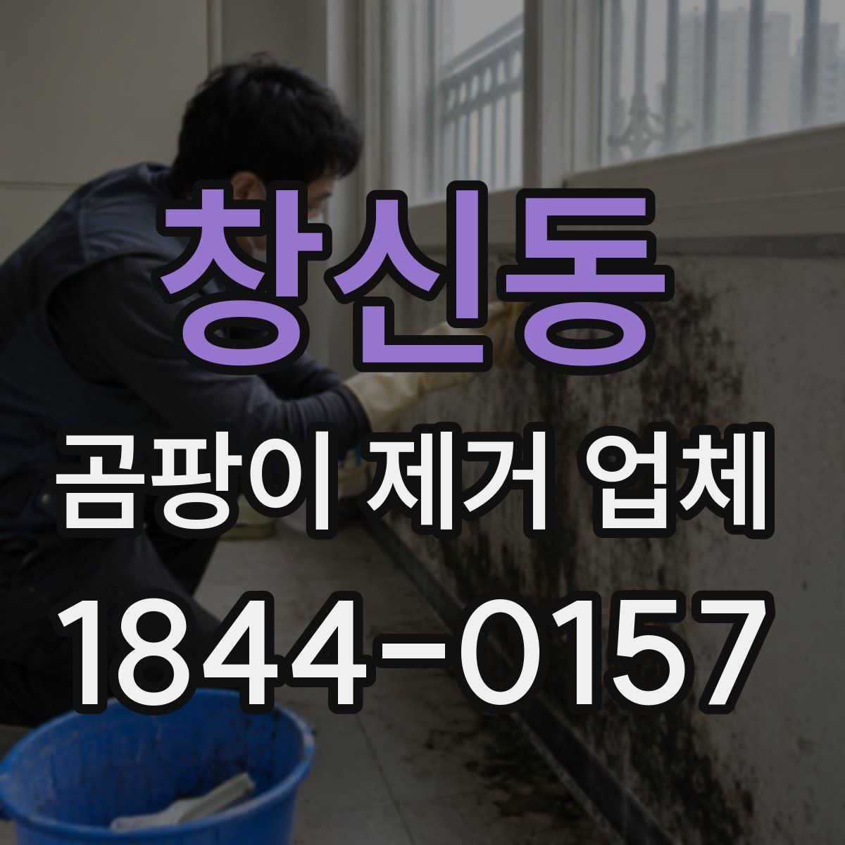 창신동 곰팡이 제거 업체