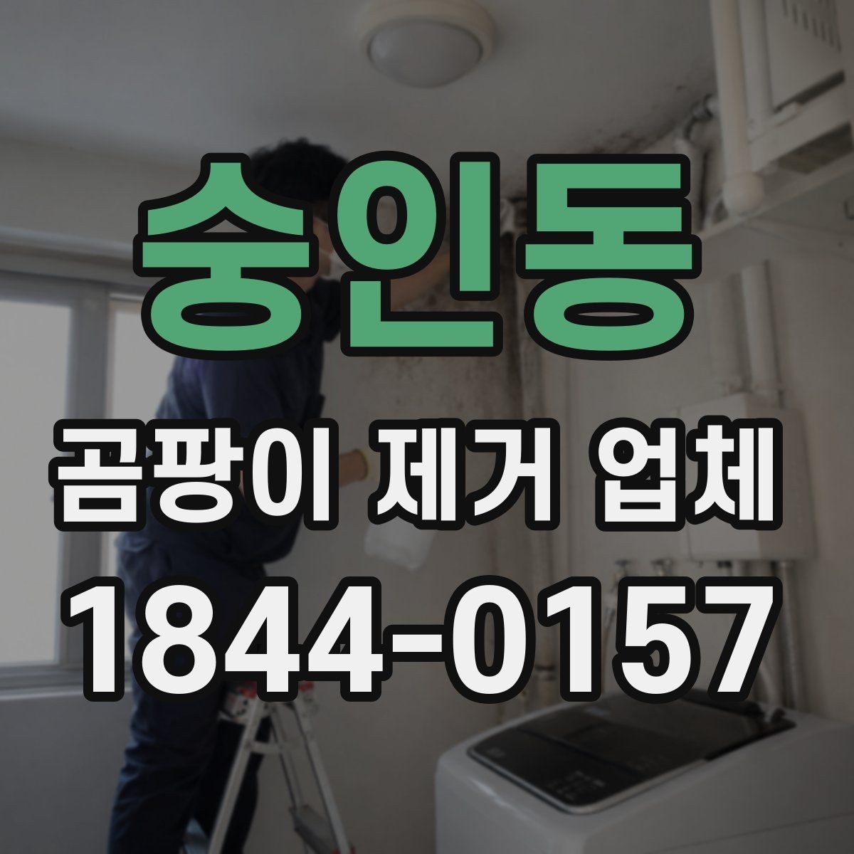 숭인동 곰팡이 제거 업체 방문 전 점검해야 할 곳