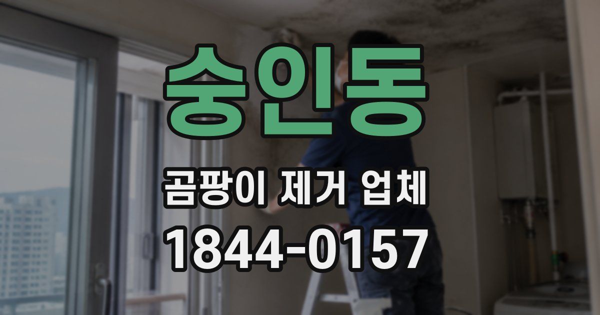 숭인동 곰팡이 제거 업체