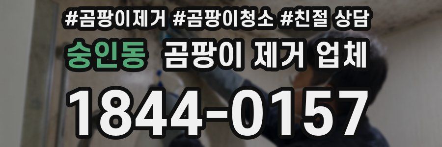 숭인동 곰팡이 제거 업체
