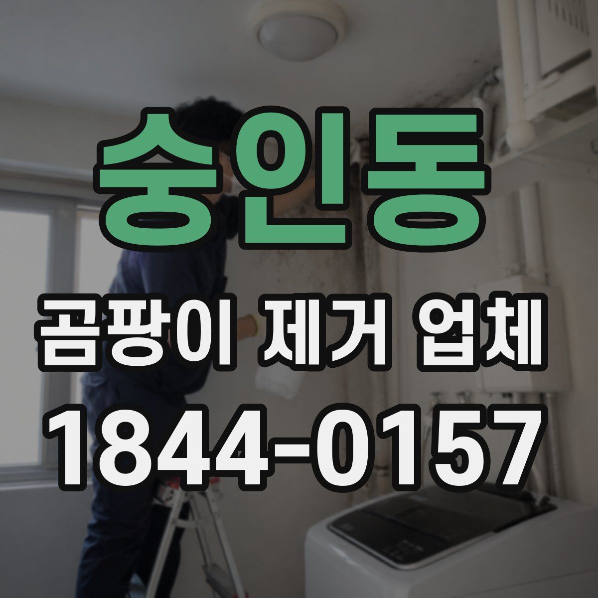숭인동 곰팡이 제거 업체