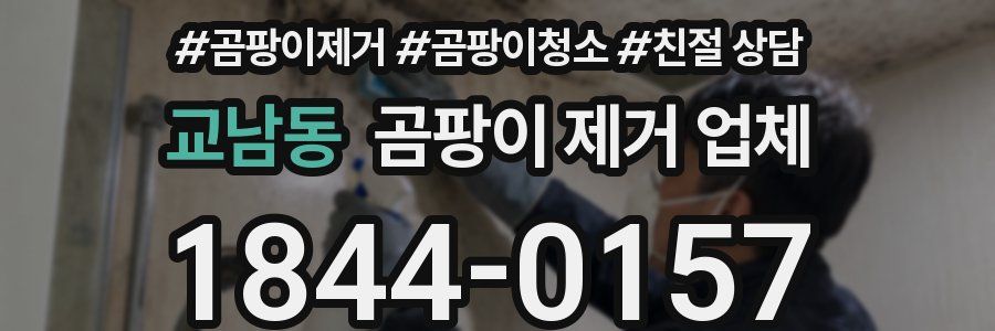 교남동 곰팡이 제거 업체