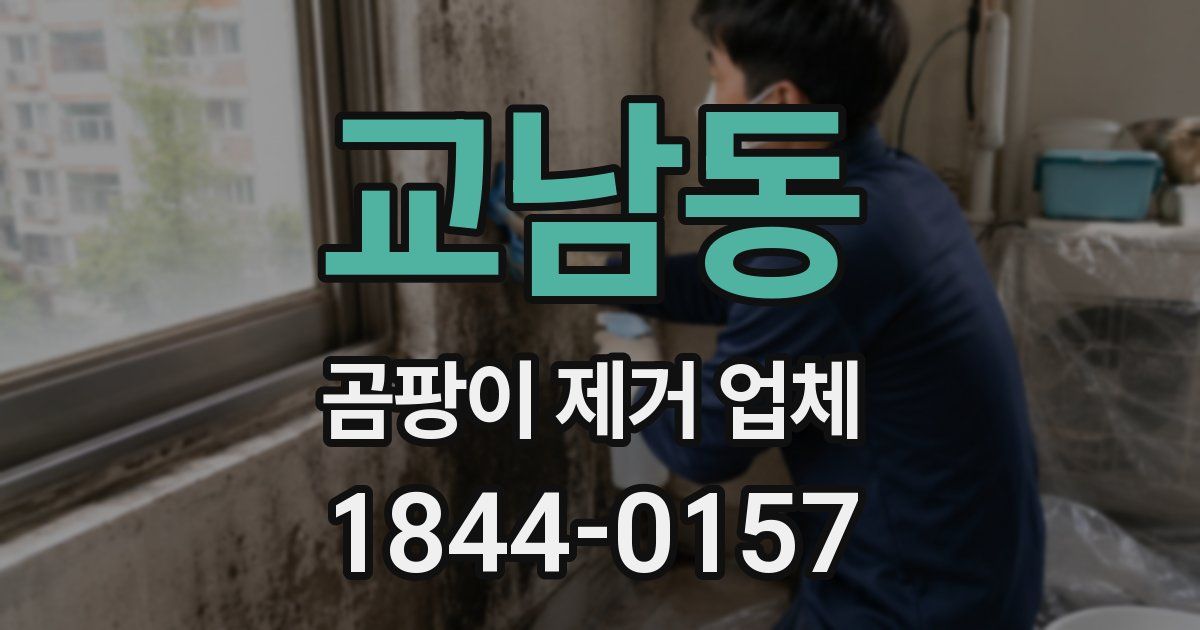 교남동 곰팡이 제거 업체