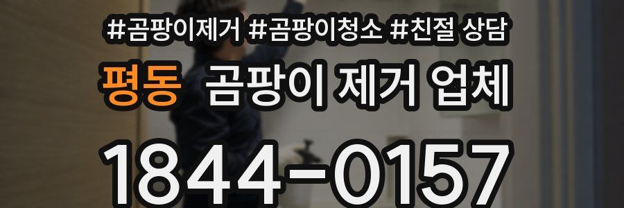 평동 곰팡이 제거 업체
