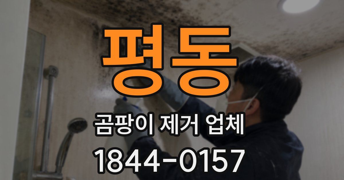 평동 곰팡이 제거 업체