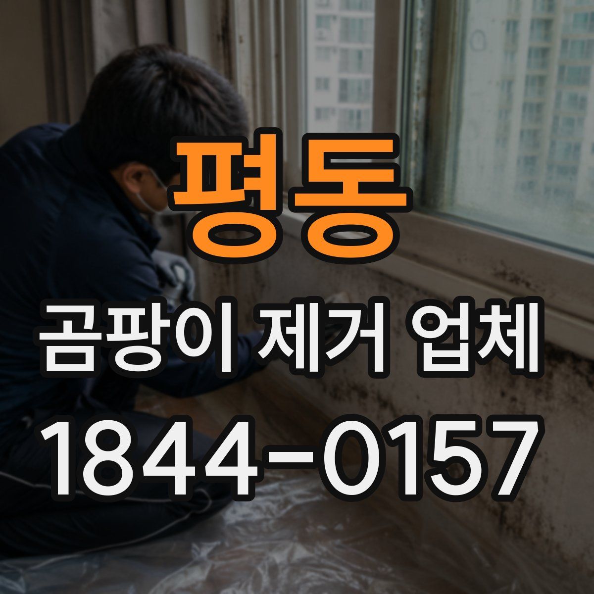 평동 곰팡이 제거 업체