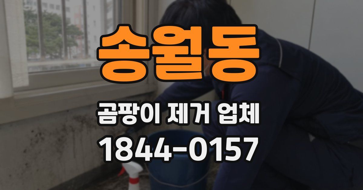 송월동 곰팡이 제거 업체