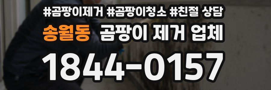 송월동 곰팡이 제거 업체