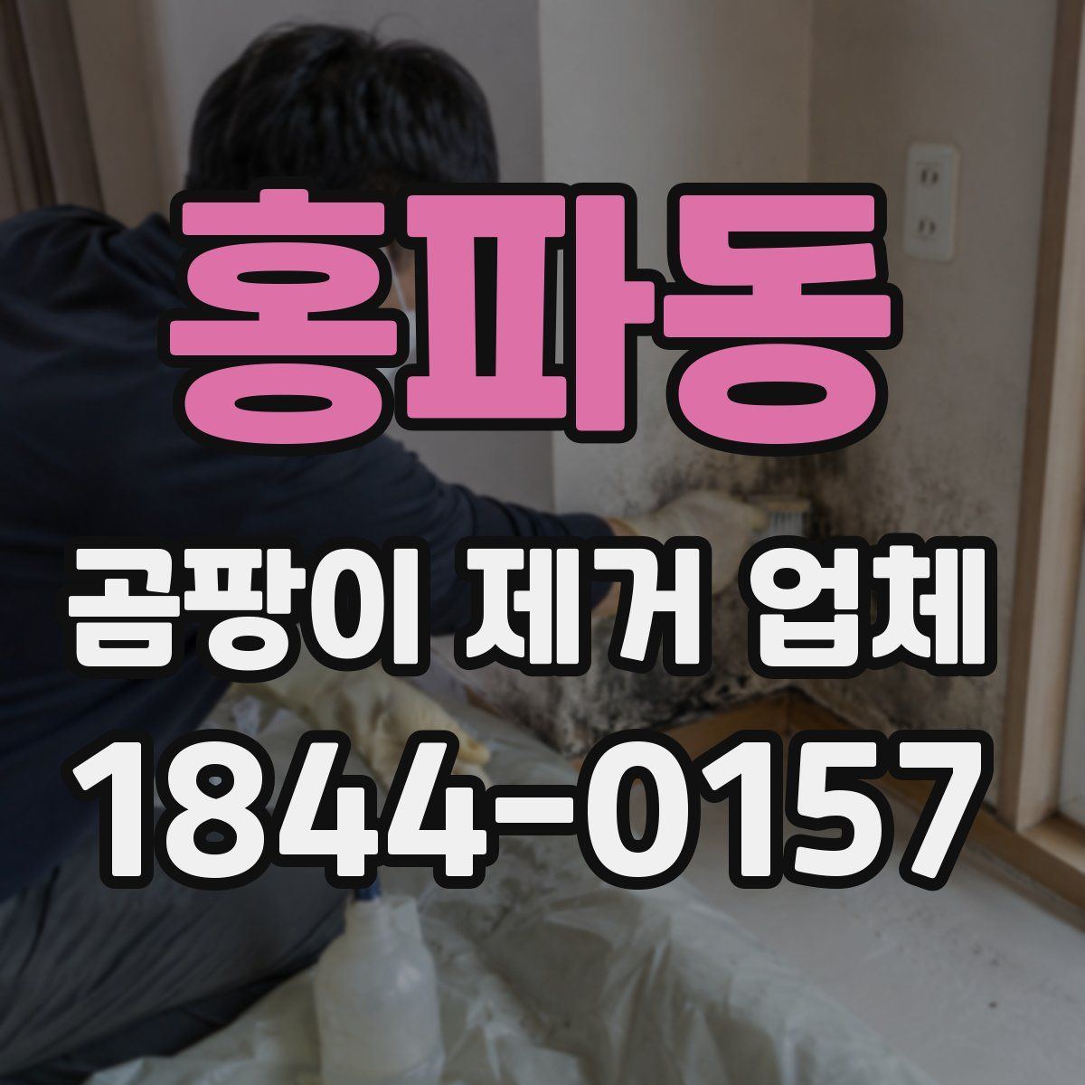 홍파동 곰팡이 제거 업체