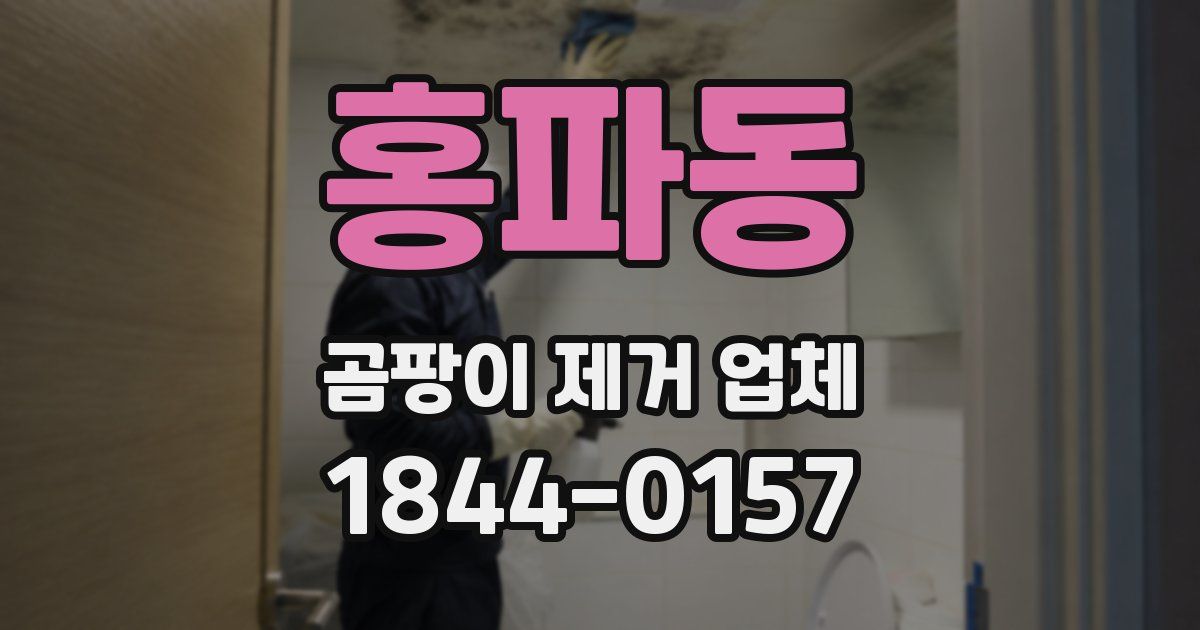 홍파동 곰팡이 제거 업체