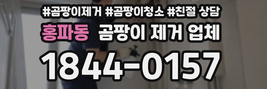 홍파동 곰팡이 제거 업체