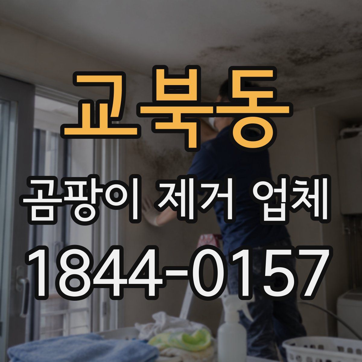 교북동 곰팡이 제거 업체
