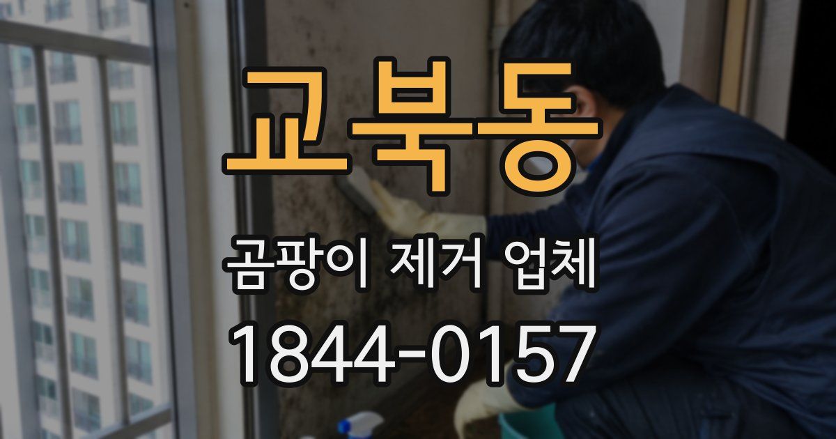 교북동 곰팡이 제거 업체