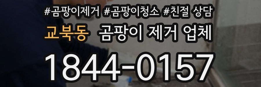 교북동 곰팡이 제거 업체