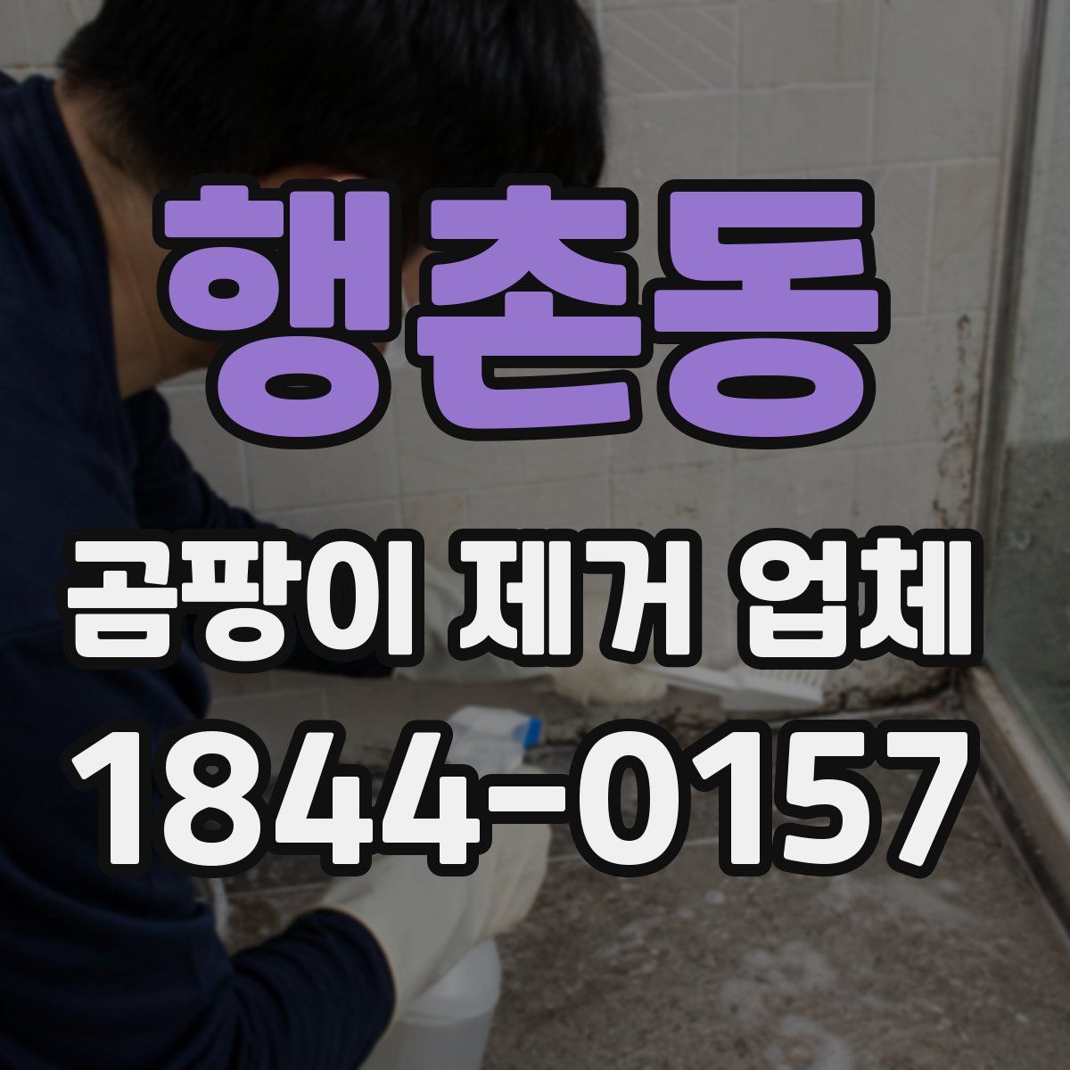 행촌동 곰팡이 제거 업체
