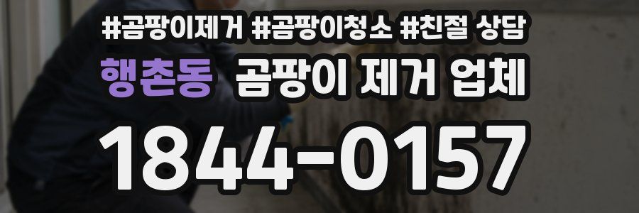 행촌동 곰팡이 제거 업체