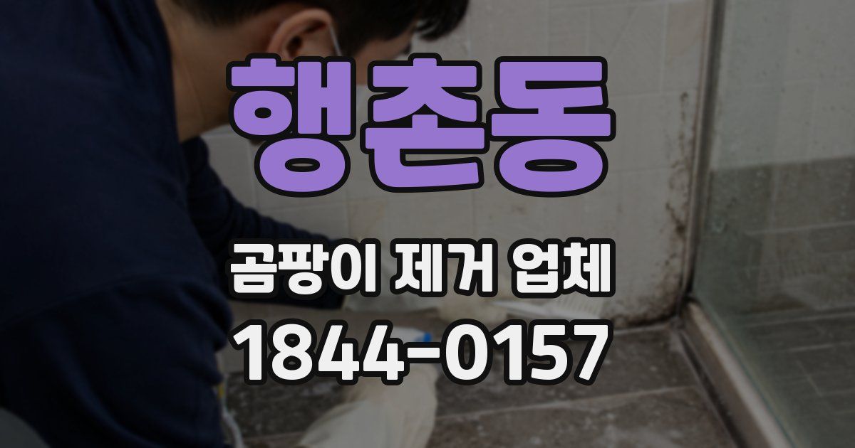 행촌동 곰팡이 제거 업체
