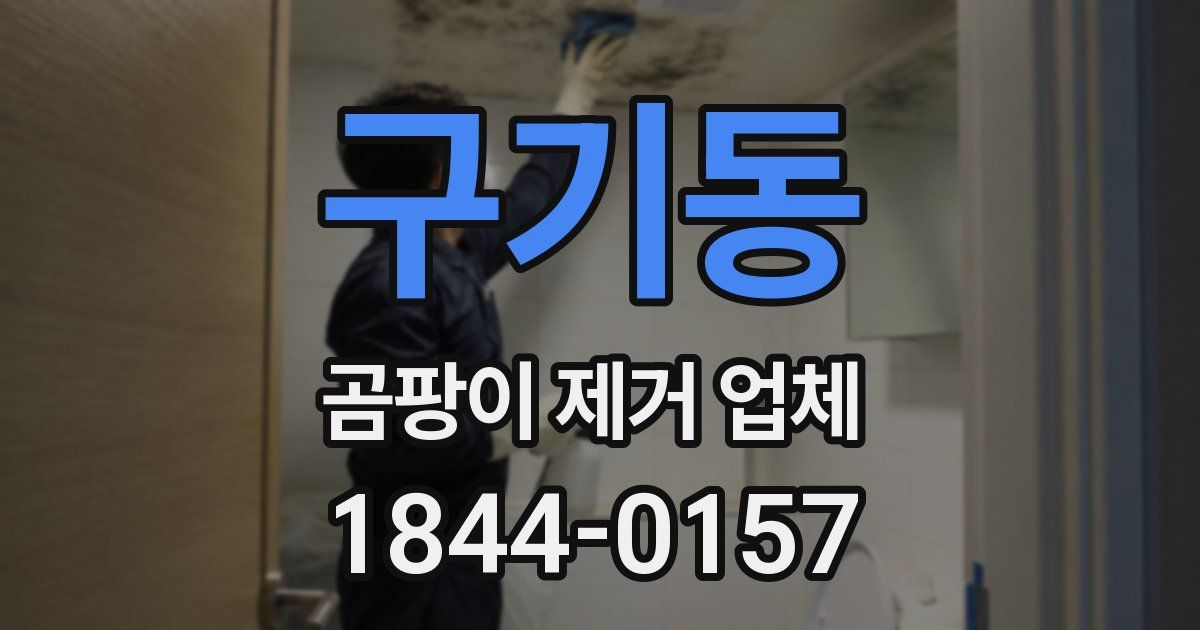 구기동 곰팡이 제거 업체